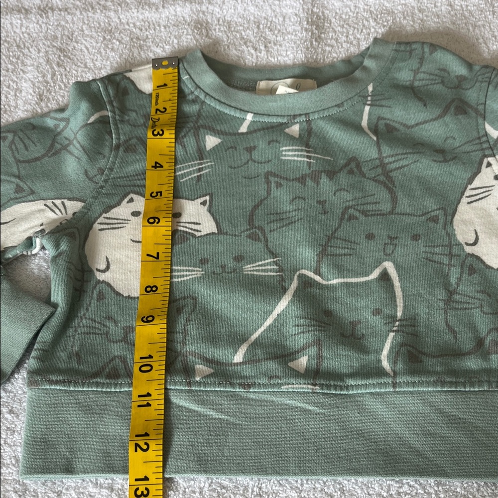 Peek Seafoam Green Cat Print Crewneck Sweatshirt - Picture 4 of 13
